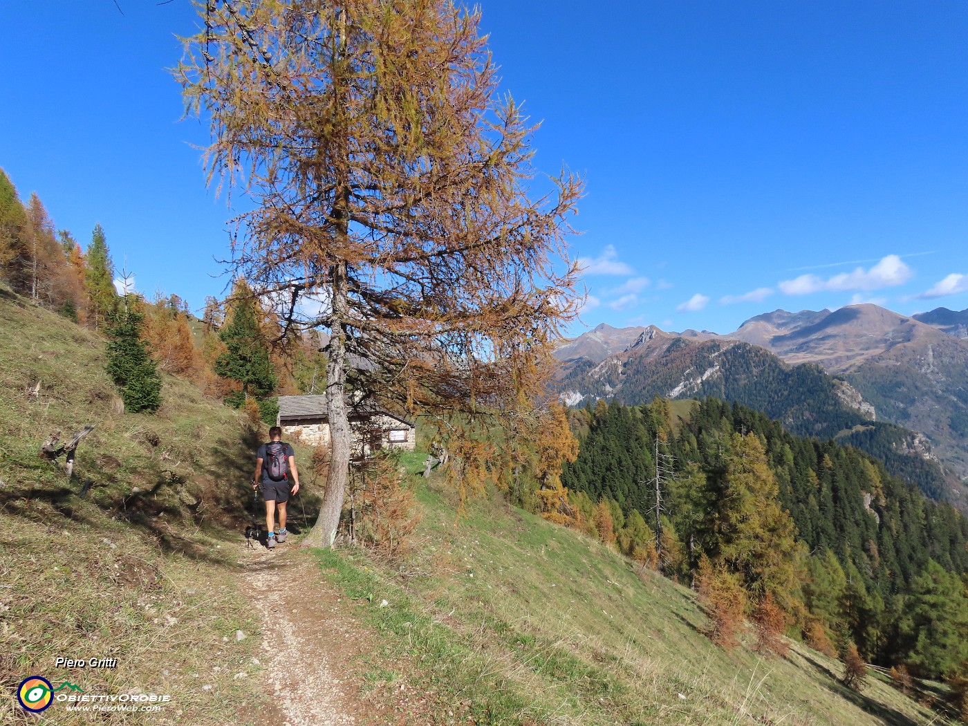 34 Splendenti larici in veste autunnale alla Baitelli (1748 m).JPG